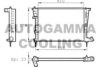 CITRO 1301S0 Radiator, engine cooling